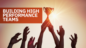 Building High-Performance Executive Teams