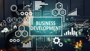 Business Development Series