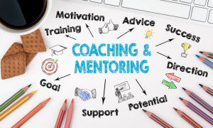 Online Training – Coaching and Mentoring for Capability Growth