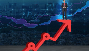 Online Training – Human Capital Planning for Business Growth