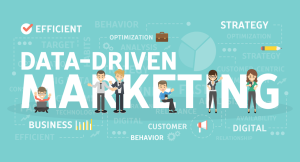 Online Training – Marketing Analytics and Data-Driven Decisions