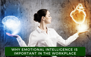 Online Training – Emotional Intelligence at Work