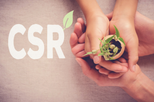Online Training – Measuring Impact in CSR Initiatives