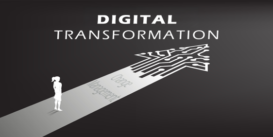 Training – Digital Transformation and Change Management