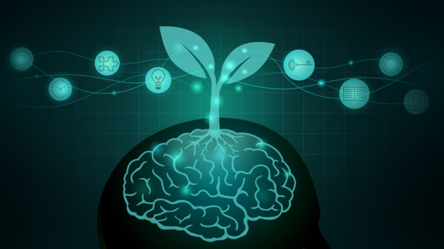 Apa Itu Growth Mindset - Definisi dan Manfaatnya untuk Sukses