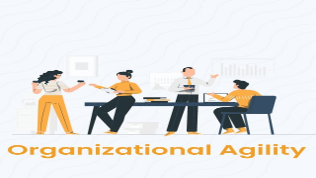 Training – Building Agility in Organizations Using DISC Assessment