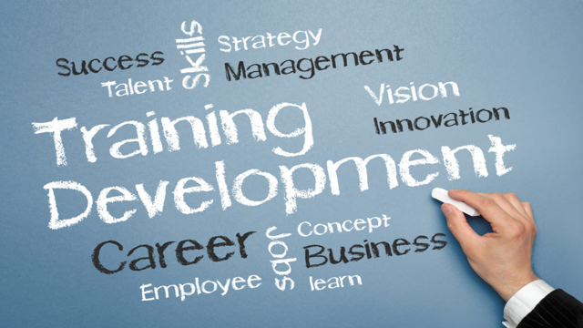 Training and Development - Pilar Utama untuk Bisnis Modern