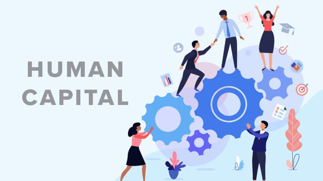 Human Capital - Definisi, Fungsi, dan Manfaat untuk Organisasi